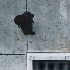 fukinotoK(ふきのと けい)